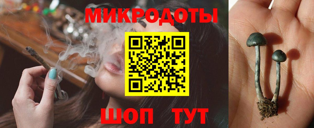Псилоцибиновые грибы прущие грибы Нефтекумск